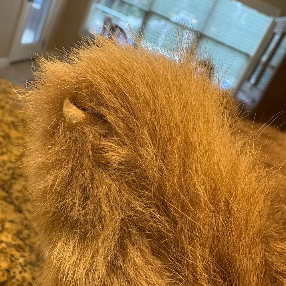 Vintage Stuffed Koala Bear made in Australia Real Kangaroo Fur Appx 15” Souvenir - Picture 9 of 13